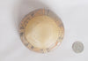 Hopi Pottery  5711-16